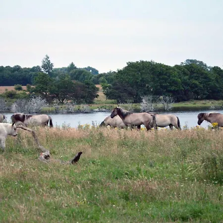 Haus Schleihalle * Maasholm